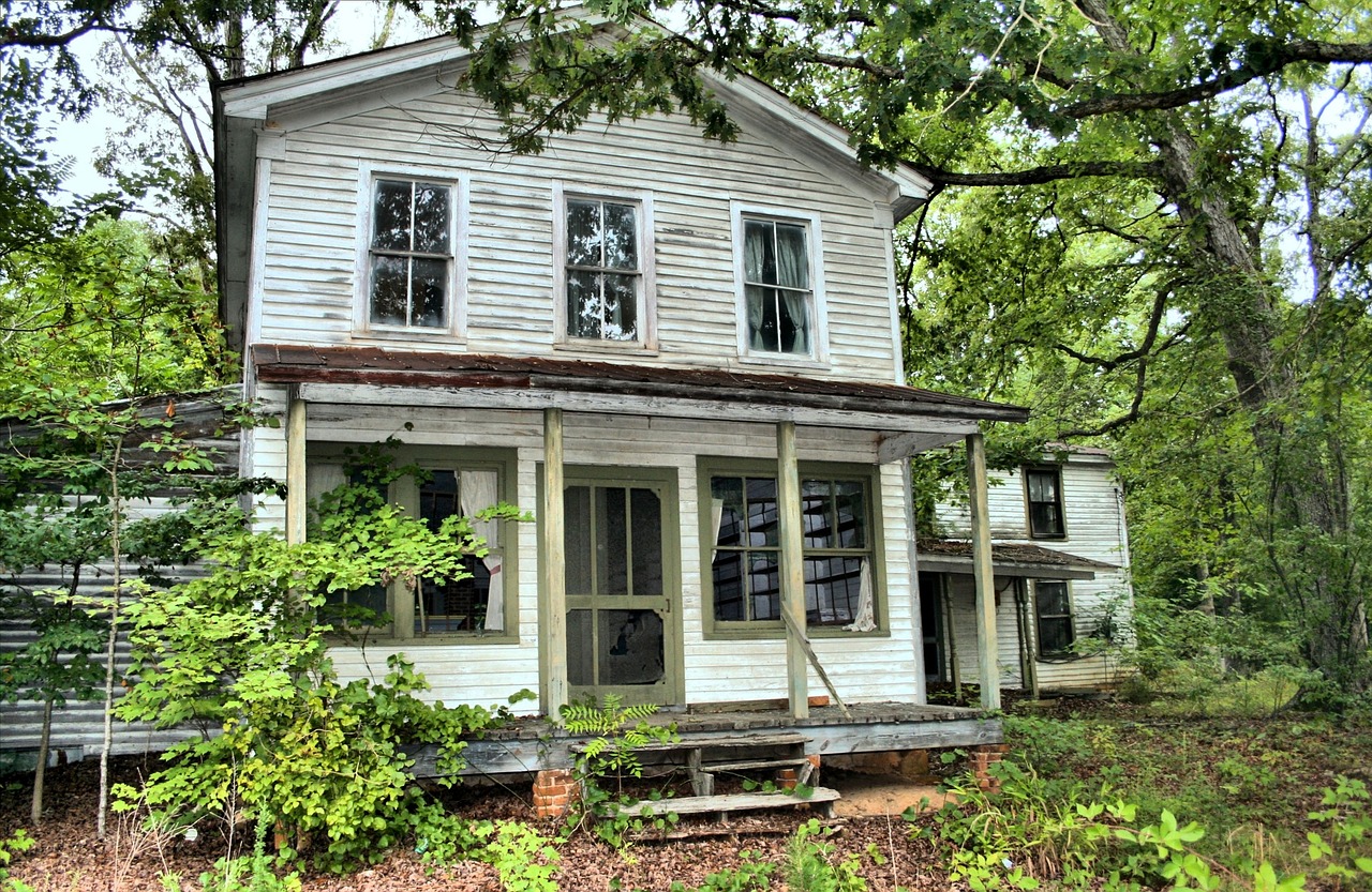 house, abandoned, vacant, vintage, grunge, empty, aged, architecture, weathered, damaged, spooky, grungy, green house, green vintage, vacant, vacant, vacant, vacant, vacant